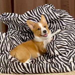 Meet your Posher, Robyn